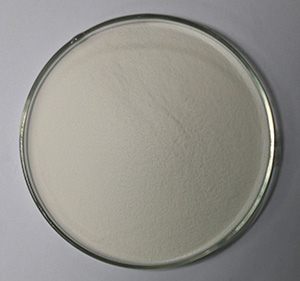 Microalgae DHA Powder