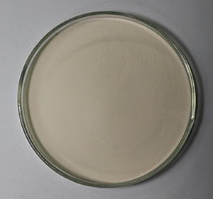 Silk Amino Acid